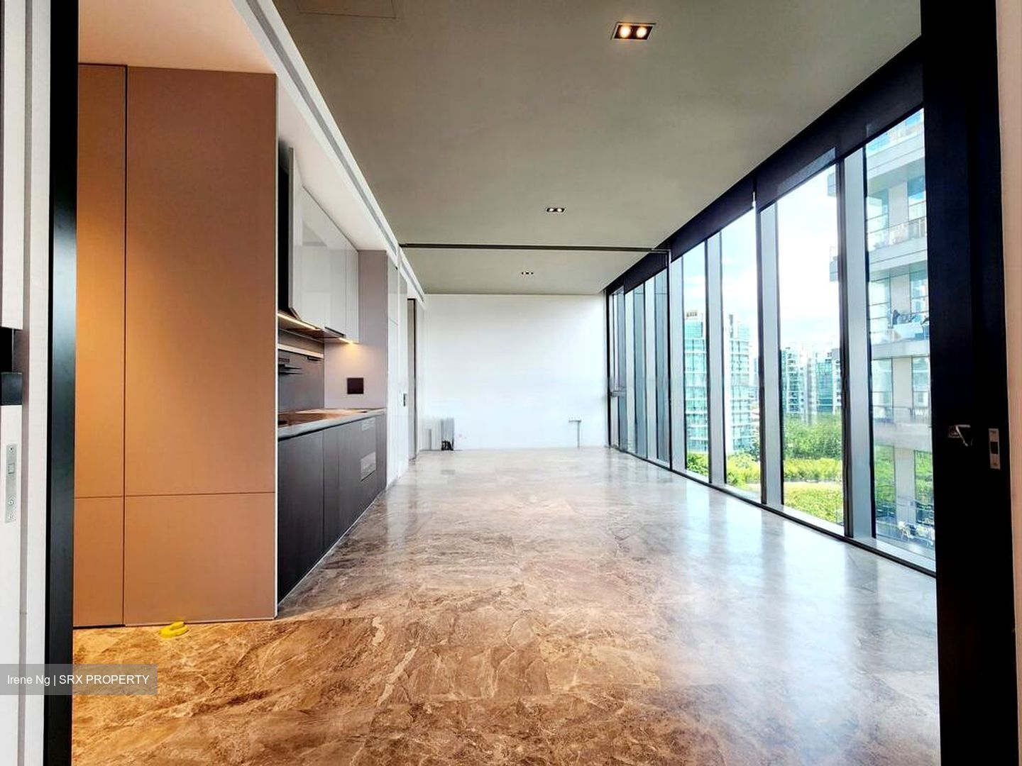 Cuscaden Reserve (D10), Condominium #480791171